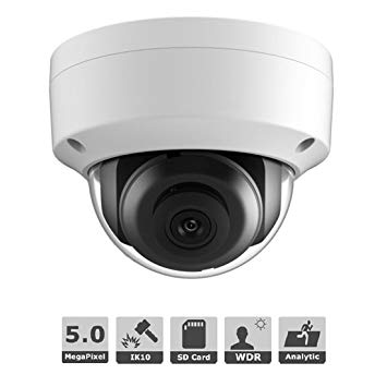 Hikvision DS 2CD2155FWD I