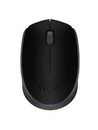 Logitech M171 Wireless Mouse Logitech M171 Wireless Mouse