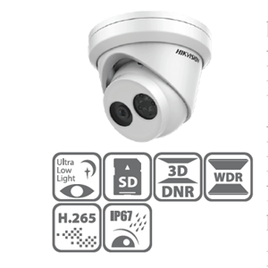 Ultra Low Light Network Camera 2MP Turret