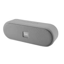 Suono P100 Bluetooth Speaker